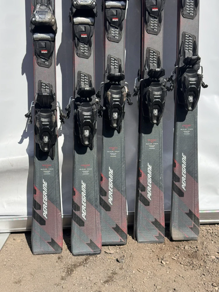 Volkl Peregrine